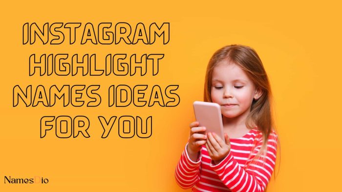 Highlight instagram aesthetic story covers icons names name cover ideas influencers bloggers etsy choose board social stories