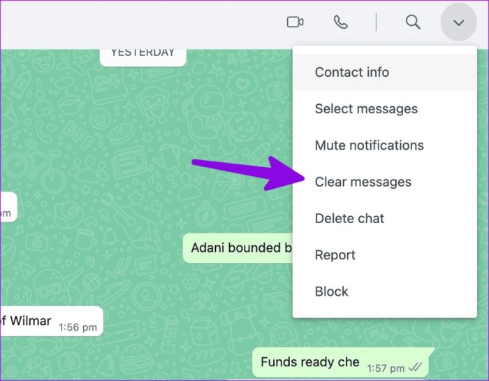 Cara Membersihkan Whatsapp Tanpa Menghapus Chat