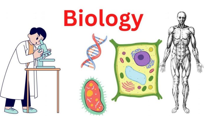 Bio Ig Inggris Dan Artinya