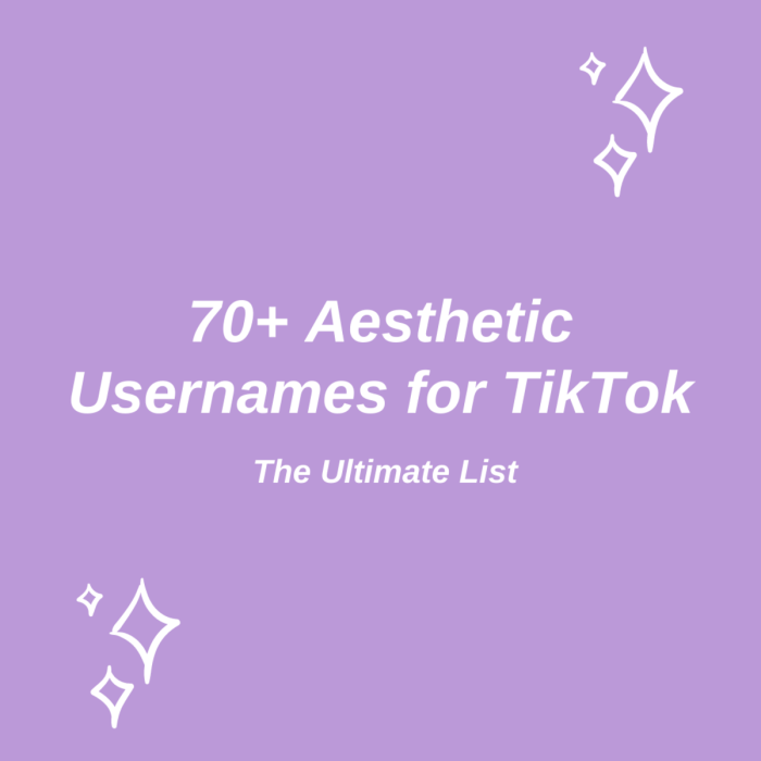 Nama Yang Aesthetic Untuk Tiktok