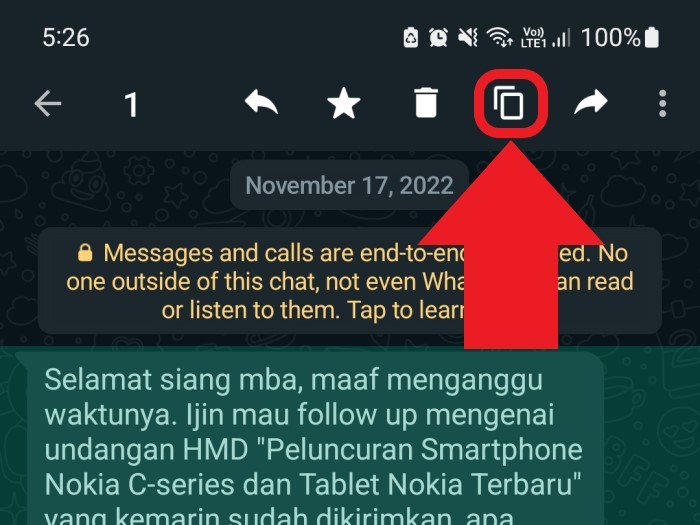 Cara Copy Paste WA Orang Lain Panduan Lengkap