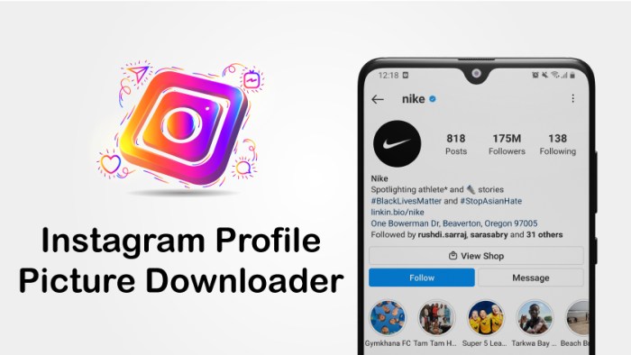 Zoom profile instagram big app launch