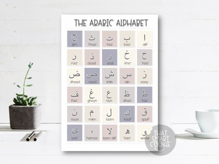 Bio Ig Aesthetic Font Arab