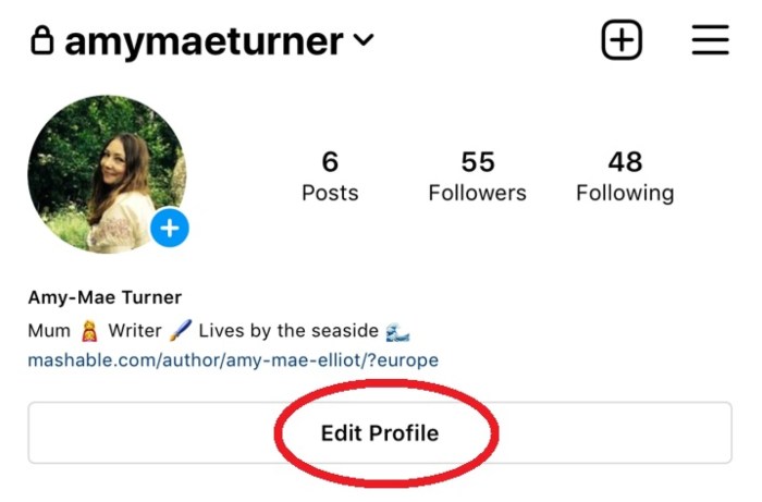 Instagram change username profile account edit tap settings button