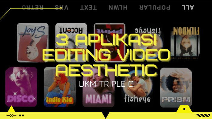 Aplikasi Edit Video Font Aesthetic