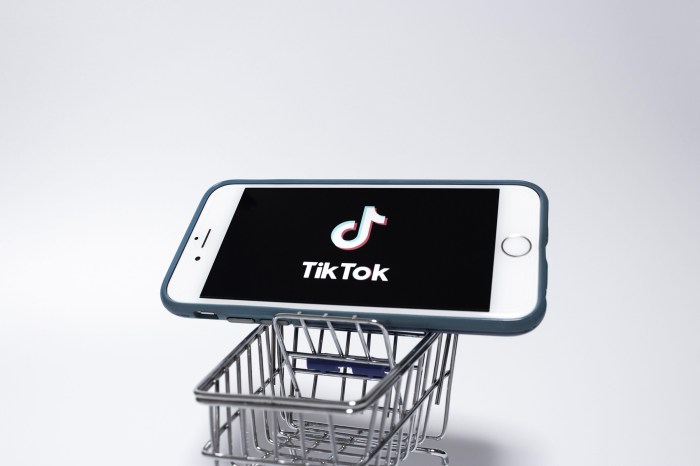 Tiktok Shop Pengiriman Pakai Apa