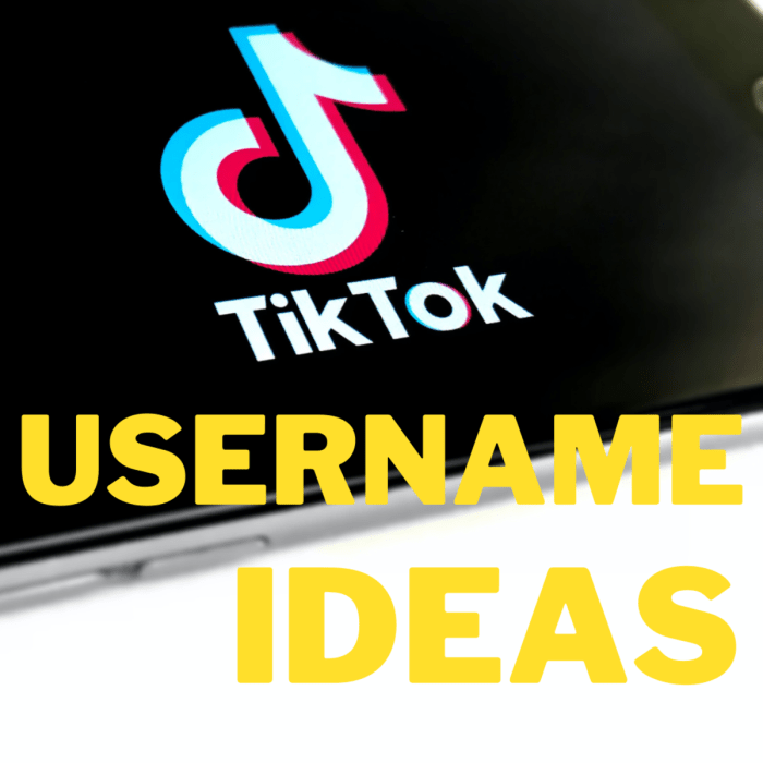 Nama Nama Tik Tok Keren